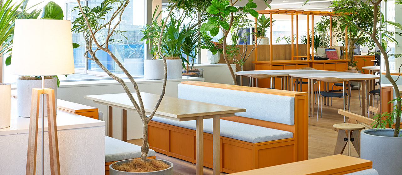 ユナイテッド株式会社